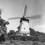 843266 Gezicht op de stellingkorenmolen 'De Binnenmolen' (Koningin Elisabethplantsoen 3) te Rhenen.N.B. Ook: Panoramamolen.